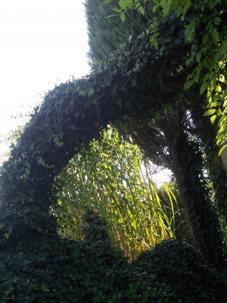 DSCN1340
